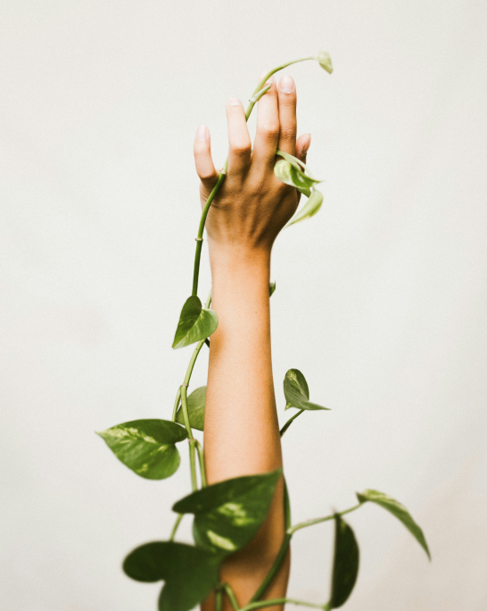 From Anxiety to Purpose: The Birth of Nurturing Spirit in New Zealand