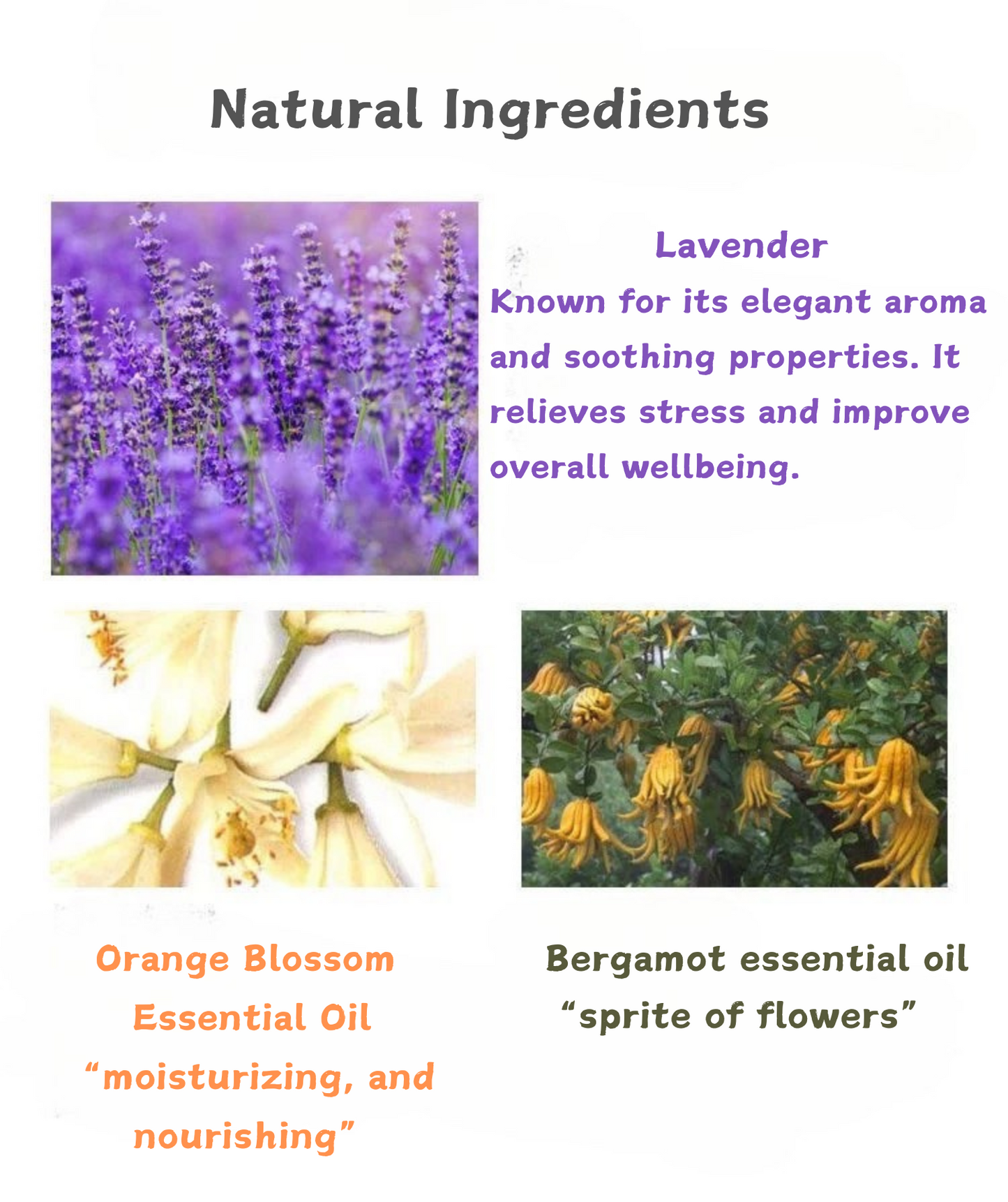 Lavender, orange blossom essential oil and bergmot essential oil set