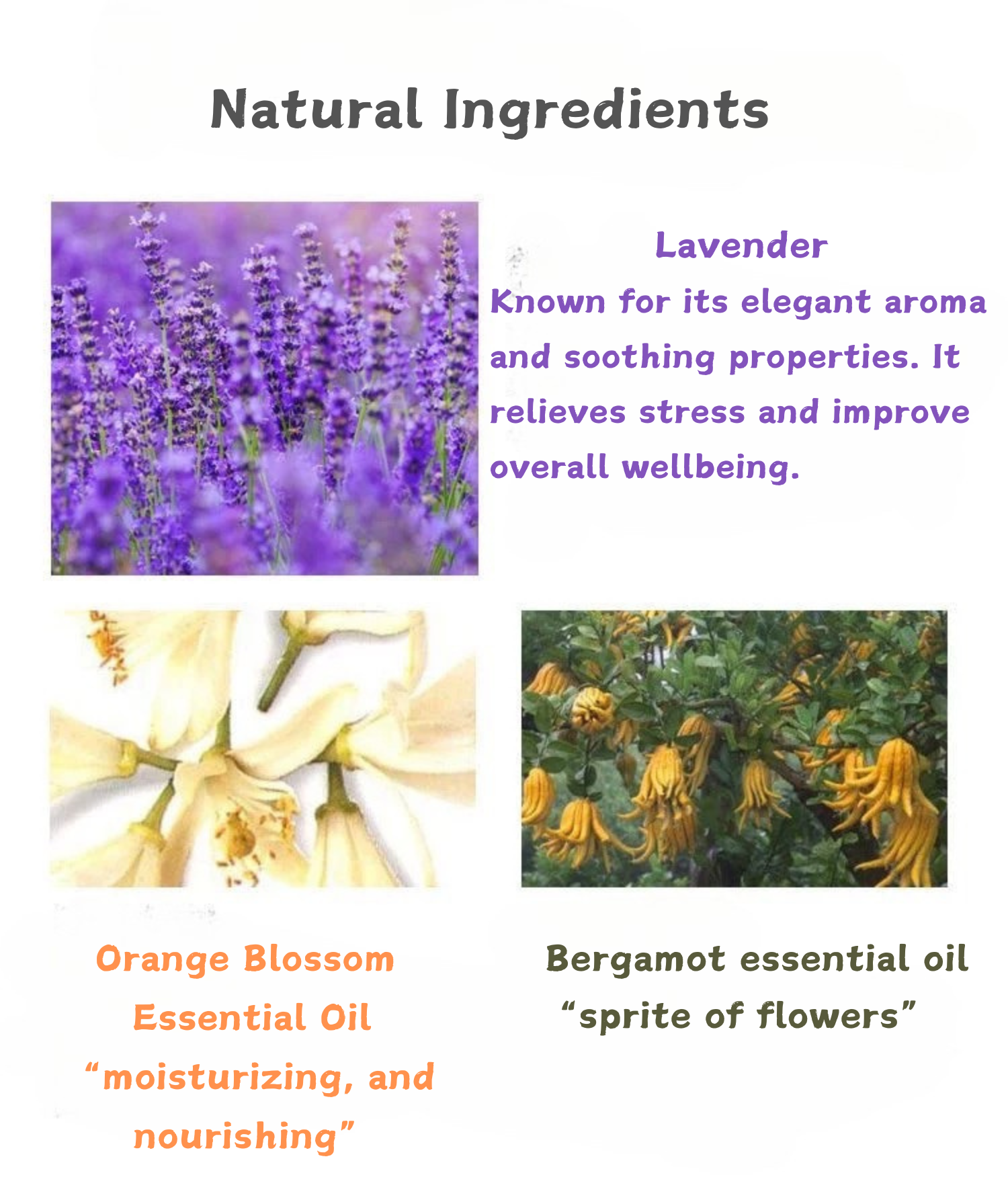 Lavender, orange blossom essential oil and bergmot essential oil set
