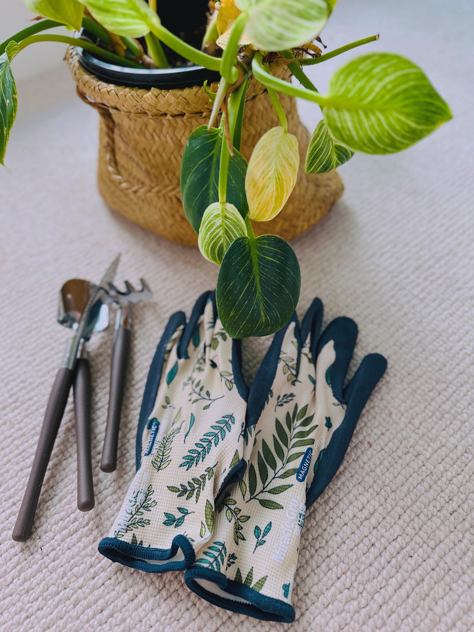 gardening gloves, garden tool